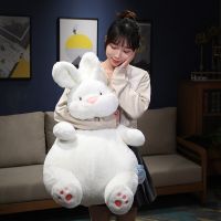 【CW】45-80cm Kawaii Fluffy Long Ears Rabbit Plush Toys Stuffed Soft Animal Pillow Lovely Chubby Bunny Dolls For Kids Girlfriend Gifts