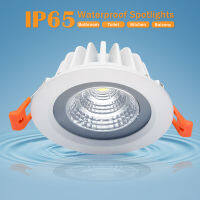 IP65 Waterproof Led Downlight Recessed Ceiling Downlight COB Led Spot Lamp For Bathroom Living Room Toilet Balcony Lighting