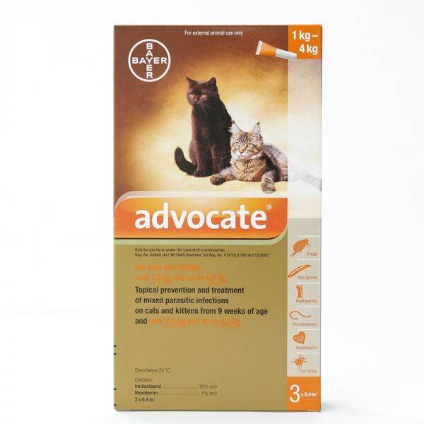 Advocate Spot-on Solution for Cats up to 4kg (1 pipette ) | Lazada PH