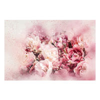 Modern Abstract Watercolor Flowers Oil Canvas Painting Posters and Prints Pink Peony Wall Art Picture Home Decoation No Frame