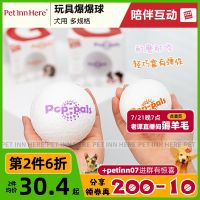 petinn GiGwi is expensive for dogs toy bursting ball resistant to biting teeth medium and large dog husky