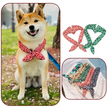 Best collar outlet for akita