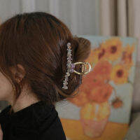 Gifts Fast Shipping "Star Dai Zi" Big Grab Hair Volume, High -End Autumn And Winter Clip Female Super Immortal