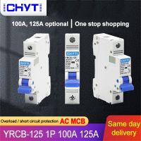 Mini Circuit Breaker MCB 1P 100A 125A Din Rail Mounting Miniature Household Air Switch