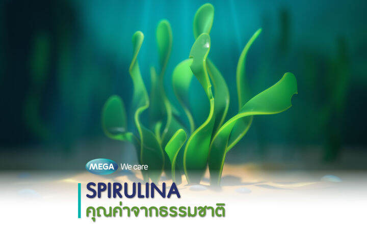 mega-spirulina-100-แคปซูล-สาหร่ายสไปรูลิน่าบำรุงร่างกาย-เสริมโปรตีนให้ร่างกาย-เสริมสร้างภูมิต้านทาน