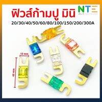 ฟิวส์ก้ามปู มินิ ขนาด 42*12mm. 20A/30A/40A/50A/60A/80A/100A/150A/200A/250A/350A