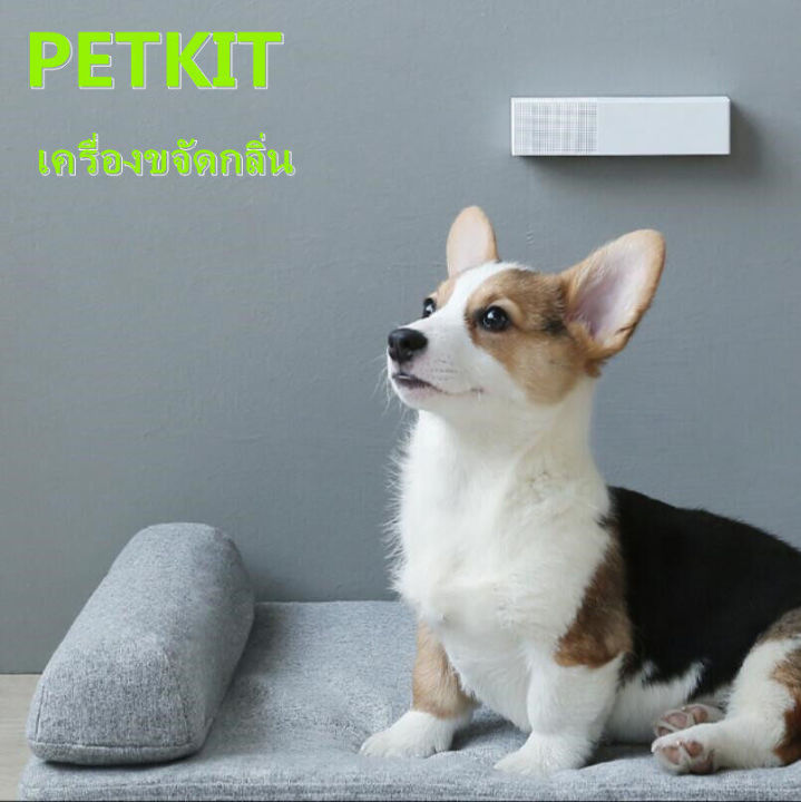 petkit-เครื่องดับกลิ่นสัตว์เลี้ยงอัตโนมัติ-เครื่องดับกลิ่น-pura-air-ราคาถูก-เครื่องดับกลิ่นอัตโนมัติ-ที่ดับกลิ่นอัตโนมัติ-เครื่องขจัดกลิ่นอัตโนมัติ-เครื่องกำจัดกลิ่น