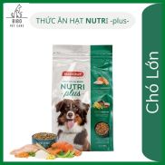 Thức ăn hạt chó lớn Eurochef Nutri plus bổ sung dinh dưỡng toàn diện đẹp
