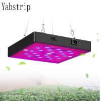 300W 500W LED Plant growth light LED plant growth light AC85-265V full spectrum indoor flower seedling greenhouse phyto lamp