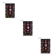 1 2 3 5 Wall Tapestry Moon Floral Printed Hanging Carpet Background Cloth