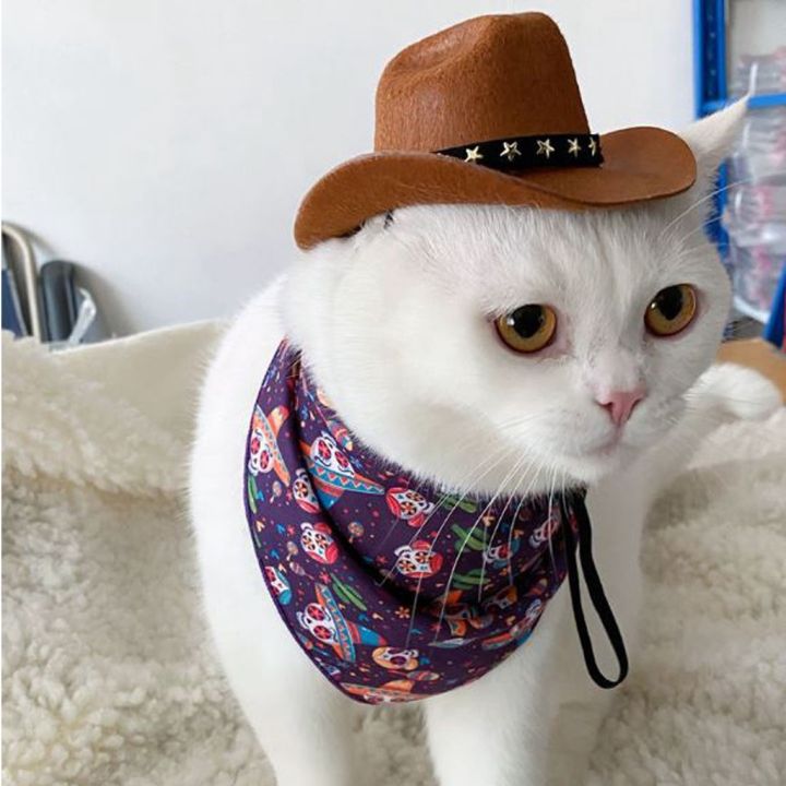 หมวกคาวบอยสัตว์เลี้ยง-หมวกหมา-หมวกแมว-หมวกสุนัข-cowboy-pet-hat