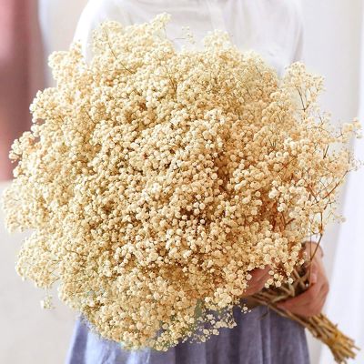 [AYIQ Flower Shop] 80กรัมอบแห้งทารกลายดอกไม้ช่อดอกยิปโซตกแต่งงานเทศกาลงานแต่งงานตกแต่งบ้าน Diy ฟ้าทะแยง