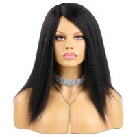 Natural Soft Afro Kinky Straight Hair Wigs 14 Inch Synthetic Yaki Hair Wig for African Women Wigs Daily Use