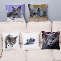 Blue British Shorthair Cat Print Cushion Cover Super Soft Plush 45*45 Pillow Case Throw Pillows Covers Car Home Decor Pillowcase Cushion Cover