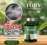 TOBY HORSETAIL โทบี้ ฮอร์สเทล วิตามินบำรุงผม วิตามินบำรุงเส้นผม อาหารเสริมบำรุงผม อาหารเสริมบำรุงเส้นผม วิตามินแก้ผมร่วง ผมบาง หัวล้าน 1 ขวด