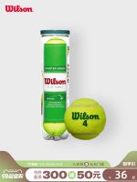 Genuine Prince Wilson Babolat Wilson Wilson Official Professional Training Low Elastic Tennis Tennis Children and Teenagers 4 Combination Canned Accessories