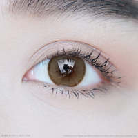 Elite (Brown) ค่าสายตา 0.00-10.00 คอนแทคเลนส์