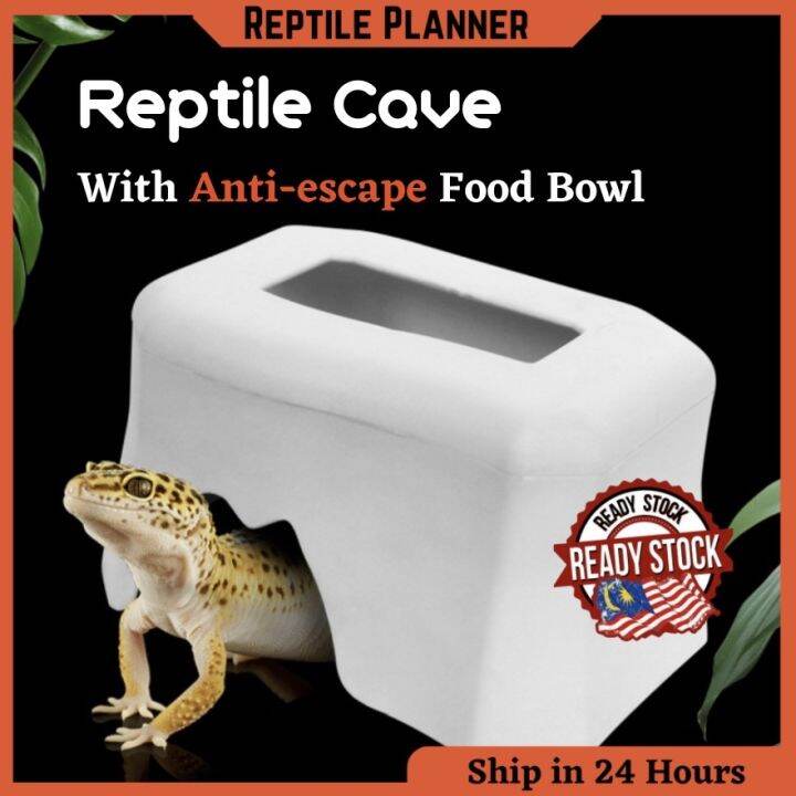 Reptile Hideout Box Small Animal Hide Cave for Snakes Lizards Leopard