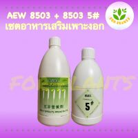 Forplants 8503 เซต ฮอร์โมน8503 ขวดใหญ่1000cc พร้อม 8503 5# ขวดเล็ก 500cc (รวม2ชิ้น) ฮอร์โมนเพาะงอก ฮอร์โมนถั่วงอก เพาะถั่วงอก ถั่วงอกอ้วน ถั่วงอกรากสั้น