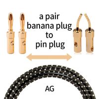 TODN HIFI speaker audio cable High-end stereo Amplifier cable High purity oxygen-free copper banana Gold-plated plug a pair