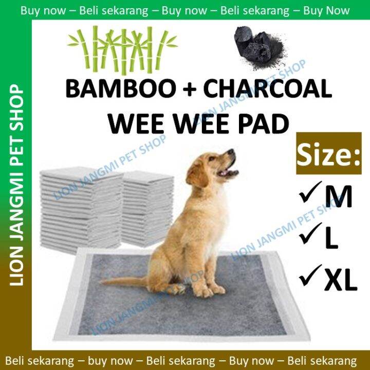Do Wee Wee Pads Work For Older Dogs