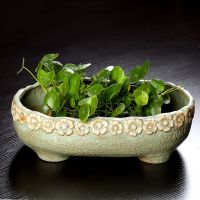 ☃♂۞ Hydroponic vessel daffodils basin bowl lotus pond lily copper grass special cylinder blank rectangle ceramic flower pot size