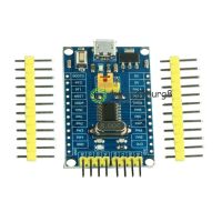 【✇】 PIN UP STM32F030F4P6 ARM CORTEX-M0 Core บอร์ดระบบขั้นต่ำบอร์ดพัฒนา Microcontroller ISP ดาวน์โหลดแบบคู่