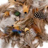 50Pcs Natural Peacock Pheasant Feathers for Crafts Jewelry Making Accessorie Wedding Decoration Dream Catcher Plumes Wholesale