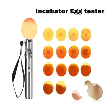 Incubator Egg Tester Egg Candling Lamp Cold Incubation Equipment Chicken  Tool Random Color 