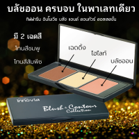 ปัดแก้ม บลัชออน ที่ปัดแก้ม ปัดแก้มสีชมพู ปัดแก้มสีส้มพีช อินโนเวีย บลัช แอนด์ คอนทัวร์ คอลเลคชั่น ติดทนนาน สวยตลอดวัน