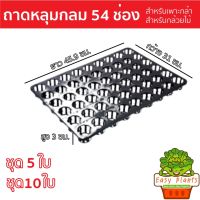 ถาดหลุมกลม 54 หลุม ขนาดหลุม กว้าง 4.30 ซม. สูง 3 ซม. สำหรับเพาะเมล็ด กล้าไม้ กล้วยไม้ ใส่ถ้วยปลูกขนาด 1-2 นิ้วได้