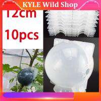 KYLE Wild Shop 12cm 10pcs Fruit Plant Tree Rooting Ball Root Box Plastic Case Transparent Flower Grafting Rooter Growing High-pressure Breeding