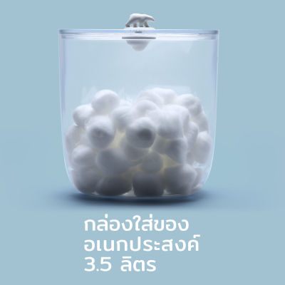 กล่อง กล่องอเนกประสงค์ รุ่นหมีขาว หมีขั้วโลก กล่องใส่ของ ขนาด 3.5 L -  Qualy Polar Bear Ocean Container 3.5 L