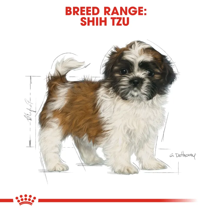 royal-canin-shih-tzu-puppy-1-5-kg-อาหารลูกสุนัขสายพันธุ์ชิสุห์