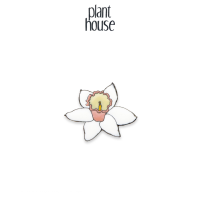 เข็มกลัด Large Cupped Daffodil เข็มกลัดติดเสื้อ Enamel Pin จาก Plant House