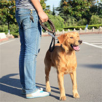 1.2m High Strength Wear Resistant Leather Large and Medium Dog Leash Adjustable Collar Set Dog Leash Dog Chain Supplies