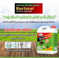 BACTOCEL แบคโตเซล 4001 5 ลิตร จุลินทรีย์คอกสัตว์ สำหรับฟาร์ม วัว หมู ไก่ แพ้ ม้า ลดแมลงวัน ป้องกันโรคในสัตว์ จุลินทรีย์สัตว์ รักษาโรคในสัตว์