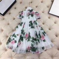 20213 Kids Girls Floral Dress Princess Dresses Clothes Ball Gown 90-160 Childrens Formal Attire Kids Ceremonial Clothes