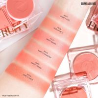 บลัชออน สีชัด เนื้อละมุน ติดทนยาวนาน Sivanna Colors Fruity Blushher HF191