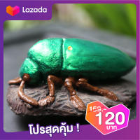 รูปปั้น ปูนปั้น ตุ๊กตาปูนปั้นรูปแมลงทับ แมลงทับ (Jewel Beetle) แต่งสวน แต่งบ้าน รูปปั้นแมลงทับ แมลงทับสีเขียว ใช้วางหรือแขวงผนัง แขวนต้นไม้