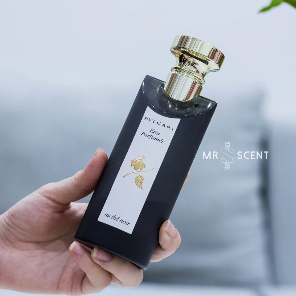 Nước Hoa Bvlgari Eau Parfumee Au The Noir - Nước hoa Unisex chính hãng -  Mùi trà Olong + Trầm hương 