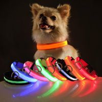 【CC】 USB Charging Dog Collar Safety Night Flashing Necklace Fluorescent Collars Supplies