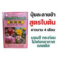 [1kg] มัลติเทค ปุ๋ยละลายช้า  4 เดือน มัลติเทค ปุ๋ยแคคตัส ปุ๋ย ออสโมโค้ท Osmocote Multiteck