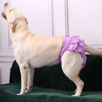 Female Dog Shorts Anti Harassment Antibacterial Menstruation Period Diaper Pants Absorbent Diaper For Small Medium Dogs