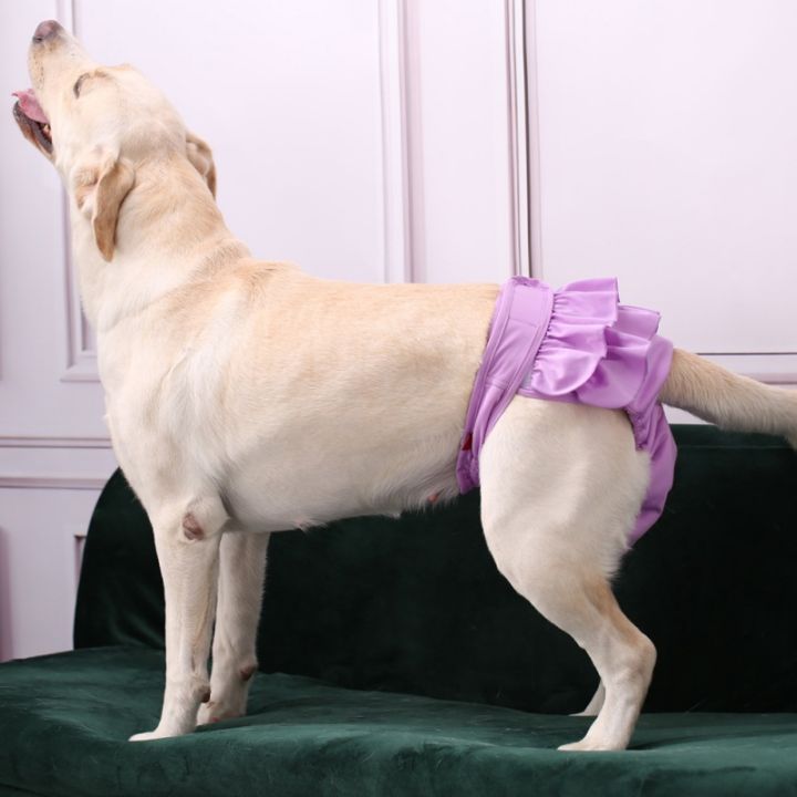 Pet Menstruation Underwear, Female Dog Menstrual Period Menstrual Pant  Washable Anti-Harassment Underwear Diapers (Color : Pink, Size : Small) :  : Pet Supplies