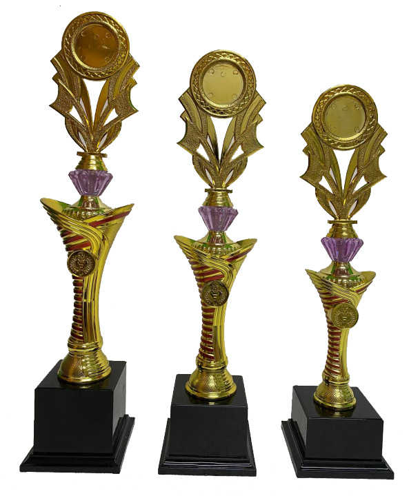 Acrylic Pattern Trophy (AT31036) With Artwork Printing / Piala ...