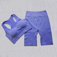 Gym Set Women Seamless 2PCS Yoga Set Bra Shirts Shorts Pant High Waist Fitness Running Sportswear Sports Suits Workout Clothes