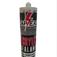 อะคริลิค Sealant ZAPSEAL 430 g.