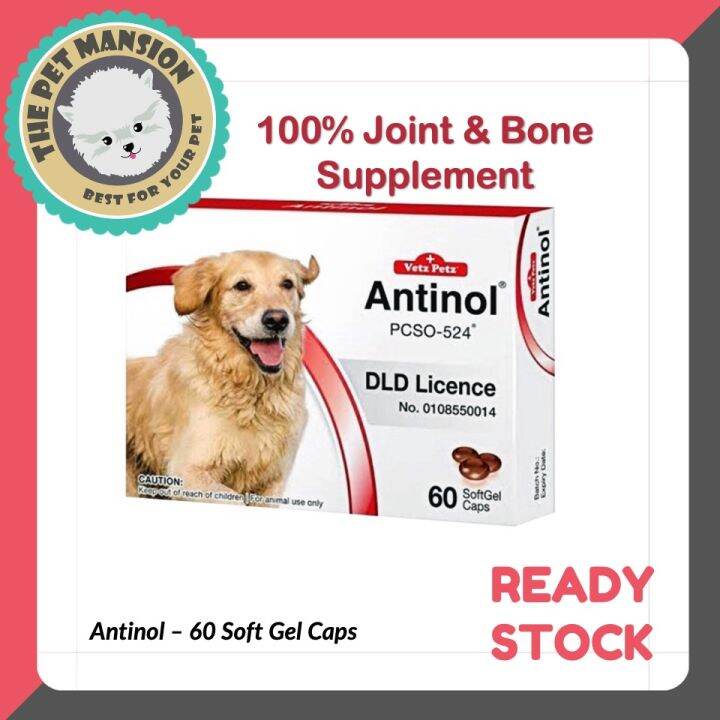 ANTINOL Rapid Dog 60 Capsules Proven Joints Supplement Arthritis (1 box