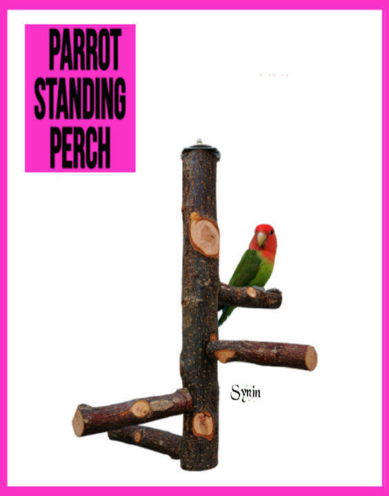 Parrot Standing Perch Natural Wood Perches Pet Budgie Toy Lazada
